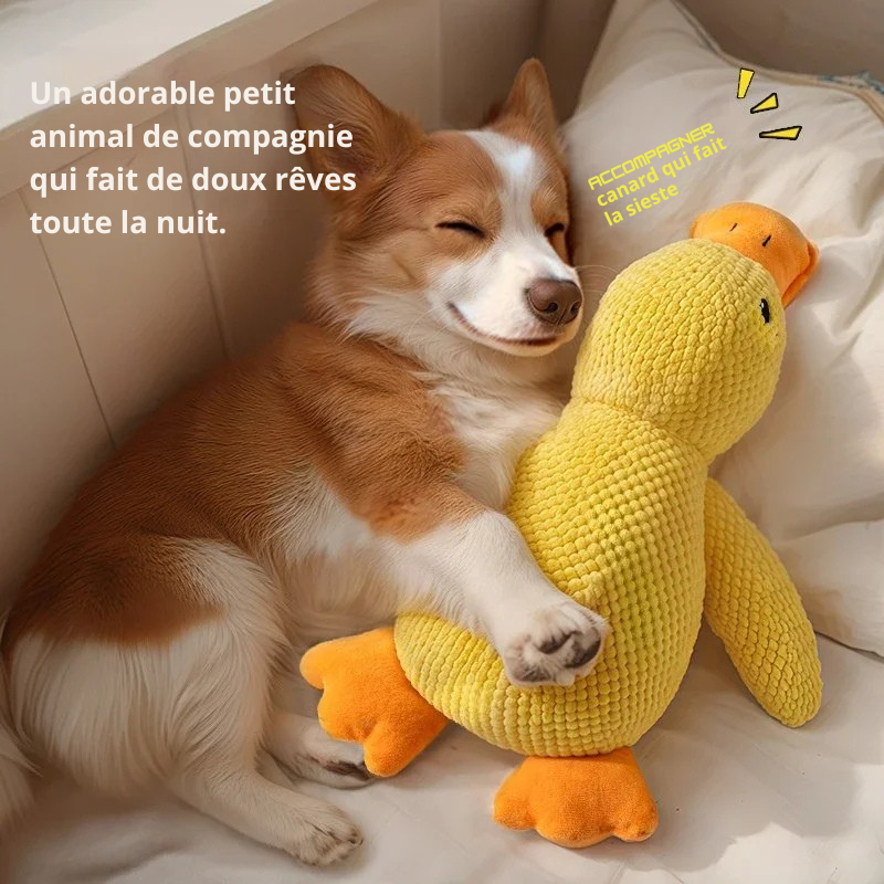 Dites Adieu Au Stress De Votre Chien Avec Ce Canard Sonore Indestructible !