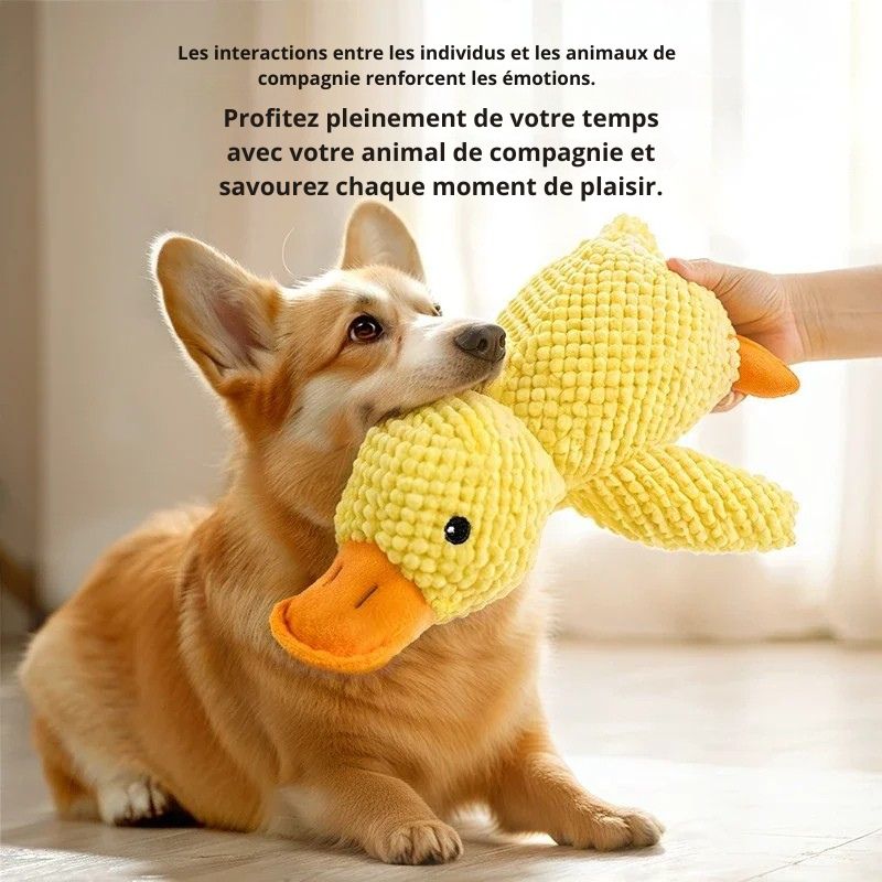 Dites Adieu Au Stress De Votre Chien Avec Ce Canard Sonore Indestructible  !