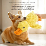 Dites Adieu Au Stress De Votre Chien Avec Ce Canard Sonore Indestructible  !
