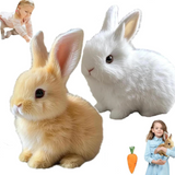 Rencontrez Bunby, Le Lapin de Pâques Réaliste Qui Sautille, Frétille Et Fait Battre Les Cœurs Des Enfants !