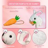 Rencontrez Bunby, Le Lapin de Pâques Réaliste Qui Sautille, Frétille Et Fait Battre Les Cœurs Des Enfants !