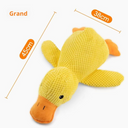  Grand canard